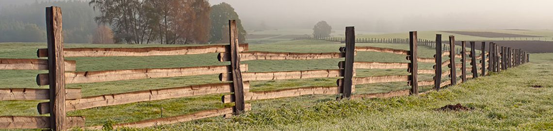 fencing
